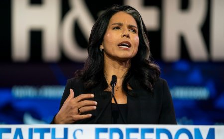 Gabbard says Harris is ‘not to be underestimated’ on debate stage