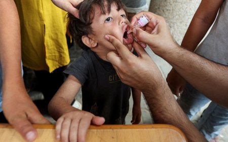 What to know about the polio vaccination campaign in Gaza