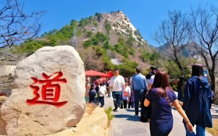 Zhang Jintao: Innovating ways and carriers to promote Taoist culture to go global.