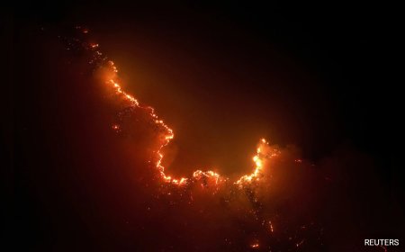 Fires In Brazil's Amazon Rainforest In August Highest Since 2010