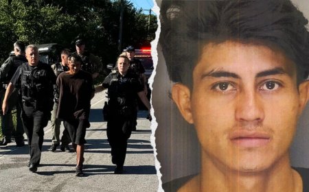 Illegal immigrant arrested after stabbing of teen girl at Indiana baseball game: police