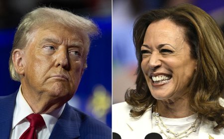 DAVID MARCUS: Kamala Harris' newest vibe is fading momentum