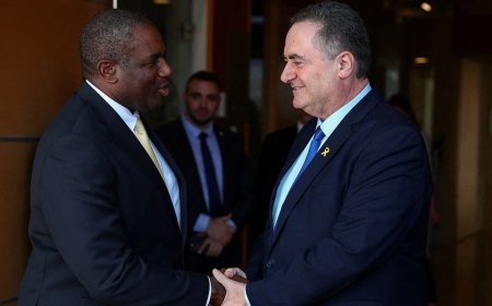 UK suspends dozens of arms sales to Israel