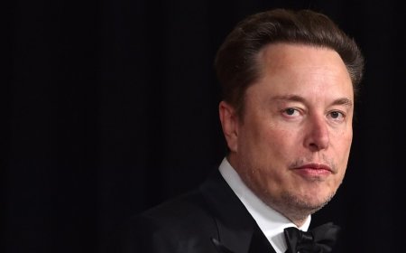 Ban on Elon Musk’s X platform upheld by Brazil Supreme Court