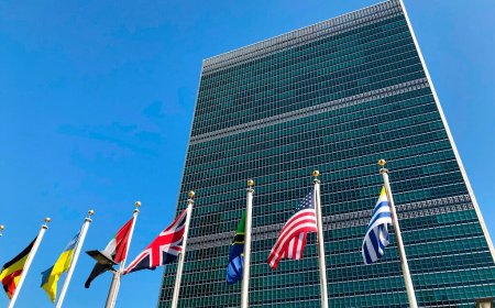 Global tax code endangers US sovereignty, businesses