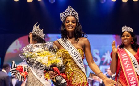 Why South Africans and Nigerians are fighting online