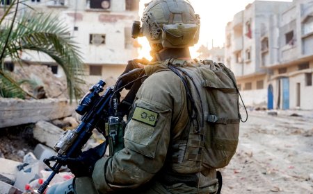 Why is the UK government limiting some of its arms exports to Israel?