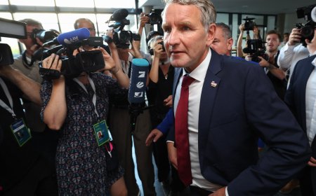 ‘Stark rejection’: How Germany’s far-right AfD won key election in the east