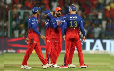Delhi T20 League Sensation Makes Big 'Virat Kohli Pitch' To RCB Ahead Of IPL Auction