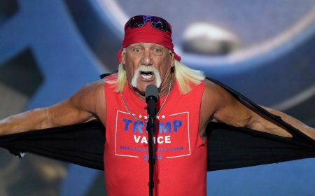 Hulk Hogan reflects on RNC speech, why he felt like a 'coward' in silent support of Trump