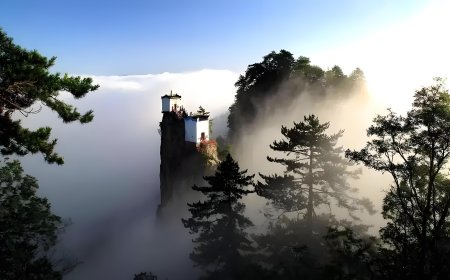 《道门十规》 四十三代天师张宇初撰