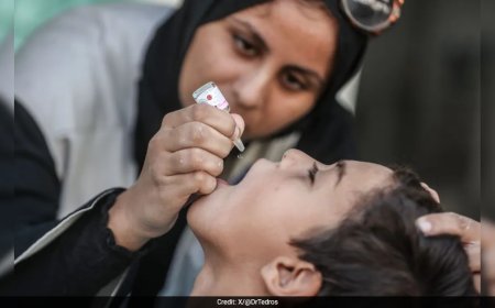 Polio First Phase Vaccination Campaign In Gaza Successful: WHO