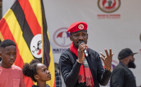 Uganda opposition leader Bobi Wine released from hospital