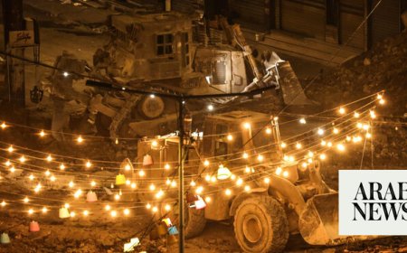 Amnesty urges war crimes probe over Israel levelling east Gaza