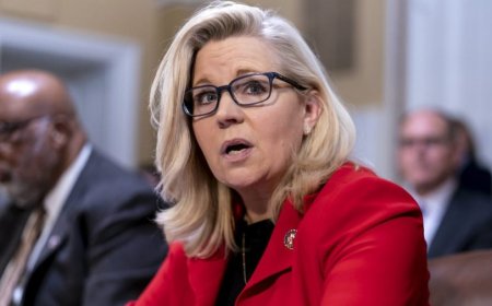 Liz Cheney says she's voting for Harris