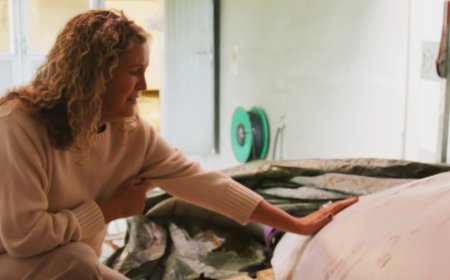 Animal rights groups call for police probe after 'Russian spy' beluga whale shot to death