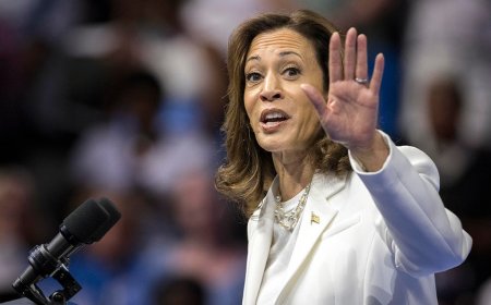 46 days: Kamala Harris has yet to do formal press conference since emerging as Democratic nominee