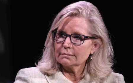 2024 Showdown: Anti-Trump Republican Liz Cheney says she's backing Kamala Harris