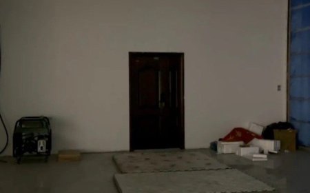 無麻醉取卵、販售出生證明：中國「地下代孕實驗室」黑色產業鏈