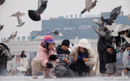 China Stops Foreign Adoptions Of Its Children After 3 Decades