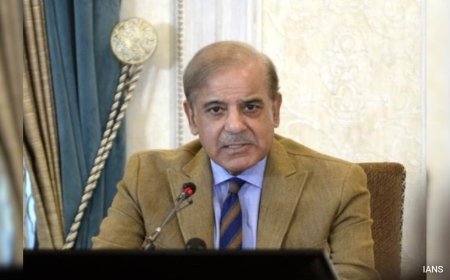 Pak Wants Peaceful Relations With All Its Neighbours, Says Shehbaz Sharif