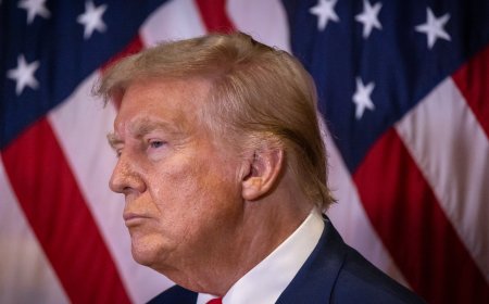 Is there a ’60-day rule’ in the US elections? What to know in 500 words