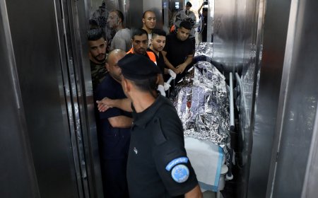 Witness: Israeli forces kill US and Turkish citizen in occupied West Bank