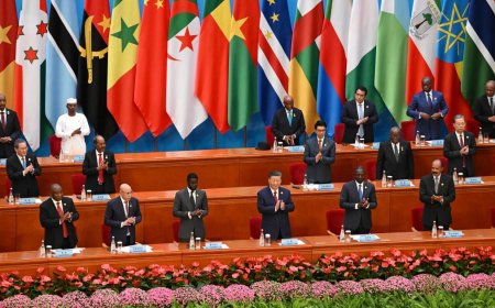As China, Africa woo each other, who gains more? It’s complex, say experts