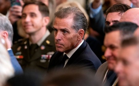 Hunter Biden attorney on plea flip: He didn't want to put his family through 'horrible parade'