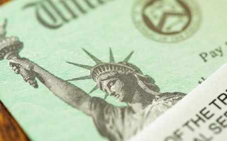 Business & Economy — IRS hunts down unpaid taxes