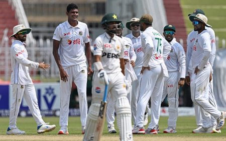 'PCB Is A Circus, People Working Are Jokers': Ex-Pakistan Star's Brutal Rant