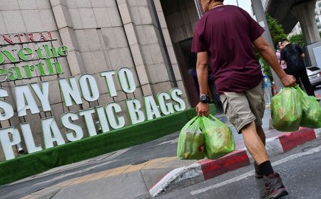 California passes ban on plastic grocery bags again, this time nixing thicker plastic bags