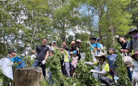 合力移除200公斤小花蔓澤蘭 「綠癌」變成天然環保防蚊香錐