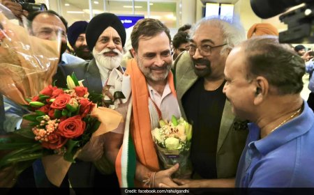 "Truly Delighted": Rahul Gandhi Gets Warm Welcome In US