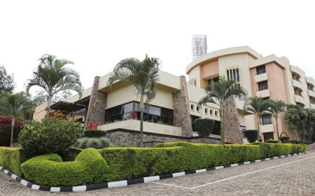 German official says Rwanda deportation plan using UK facilities considered