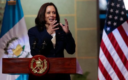 Democrats shouldn’t be so sanguine about Kamala's 'Root Causes' strategy