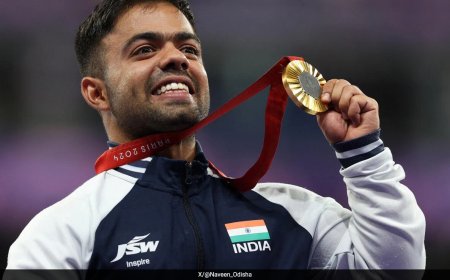 "Used The Wrong Flag": India Coach Reacts To Navdeep Singh's Upgraded Javelin Throw Gold Medal