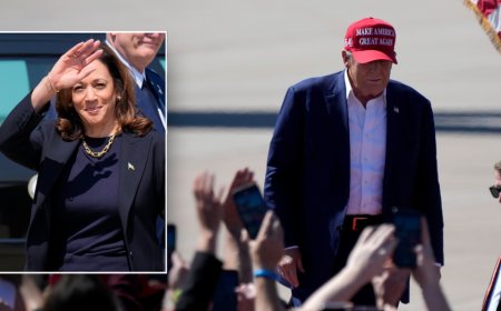 Trump claims Israel will be 'gone' within two years if Harris is elected president: video