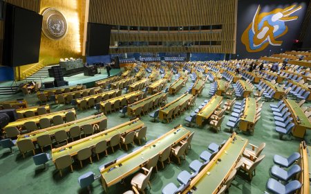 民進黨想推聯大2758號決議不涉台 就是在搞曲線台獨