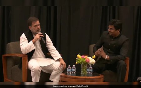 "Bharat Jodo Yatra Introduced The Idea Of Love In Politics": Rahul Gandhi