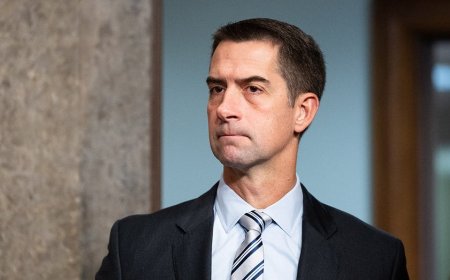 Tom Cotton turns tables on CNN's Dana Bash on guns, brings up Harris' past remarks on school shootings