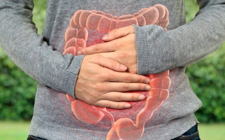 Parkinson’s disease risk is linked to gut health, researchers say