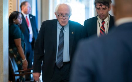 Sanders on Harris's politics: 'Her views are not mine, but I do consider her progressive'
