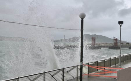 摩羯颱風襲大陸！海南風力發電機「遭攔腰折斷」 經濟損失上看2700億