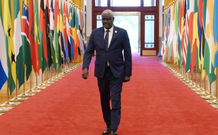 大陸雖以1.62兆鉅資支持 但非洲國家更需要債務減免