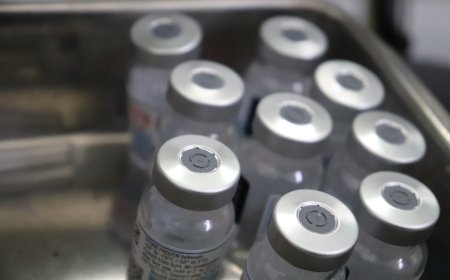 Antibody That Can Counter All Known Covid Variants Found