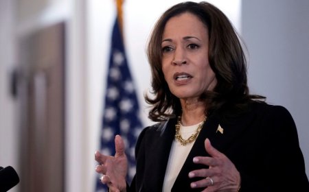 Harris campaign calls Trump marijuana post 'blatant pandering'