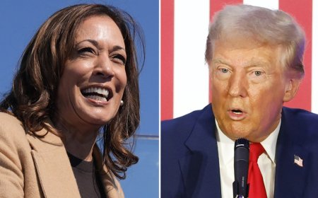 Contingent elections: what they are, and what to expect if 2024 triggers one