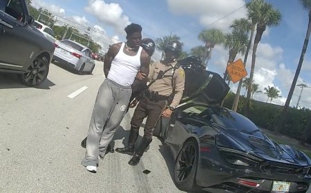 Bodycam footage of Tyreek Hill's detention released: 'Take me to jail'