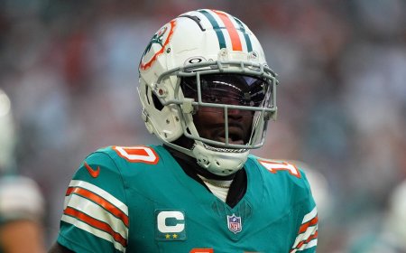 Dolphins demand punishment for officers involved in Tyreek Hill detention